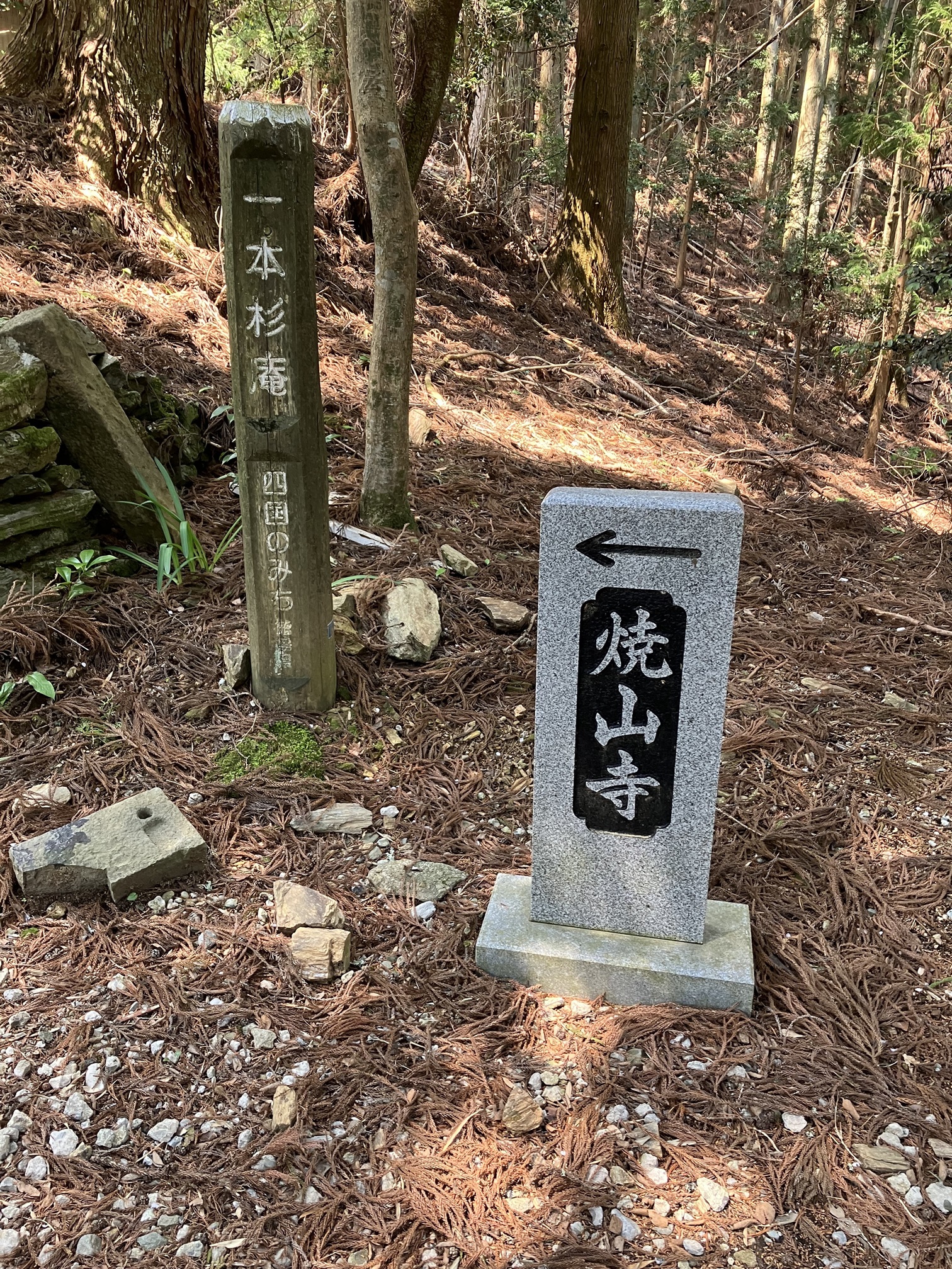 焼山寺へ向かう山道